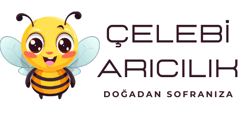 Çelebi Aricilik